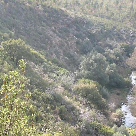 Herdade Do Rio Torto Portel Kültér fotó