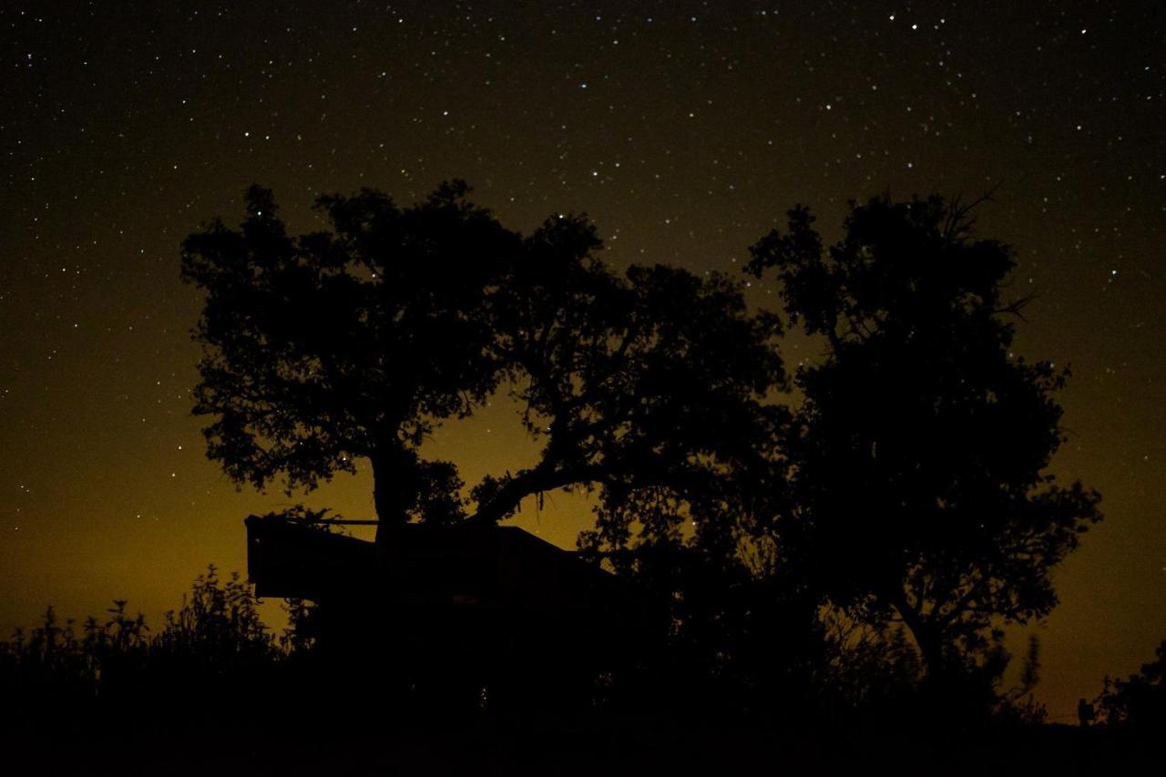 Herdade Do Rio Torto Portel Kültér fotó