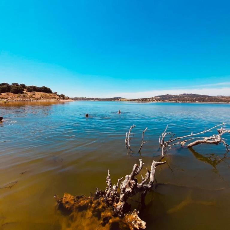 Herdade Do Rio Torto Portel Kültér fotó