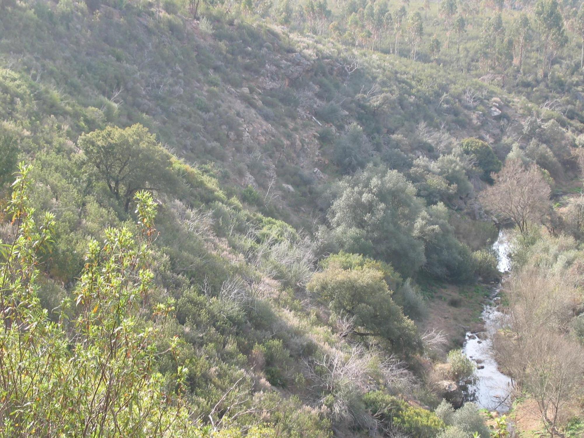 Herdade Do Rio Torto Portel Kültér fotó