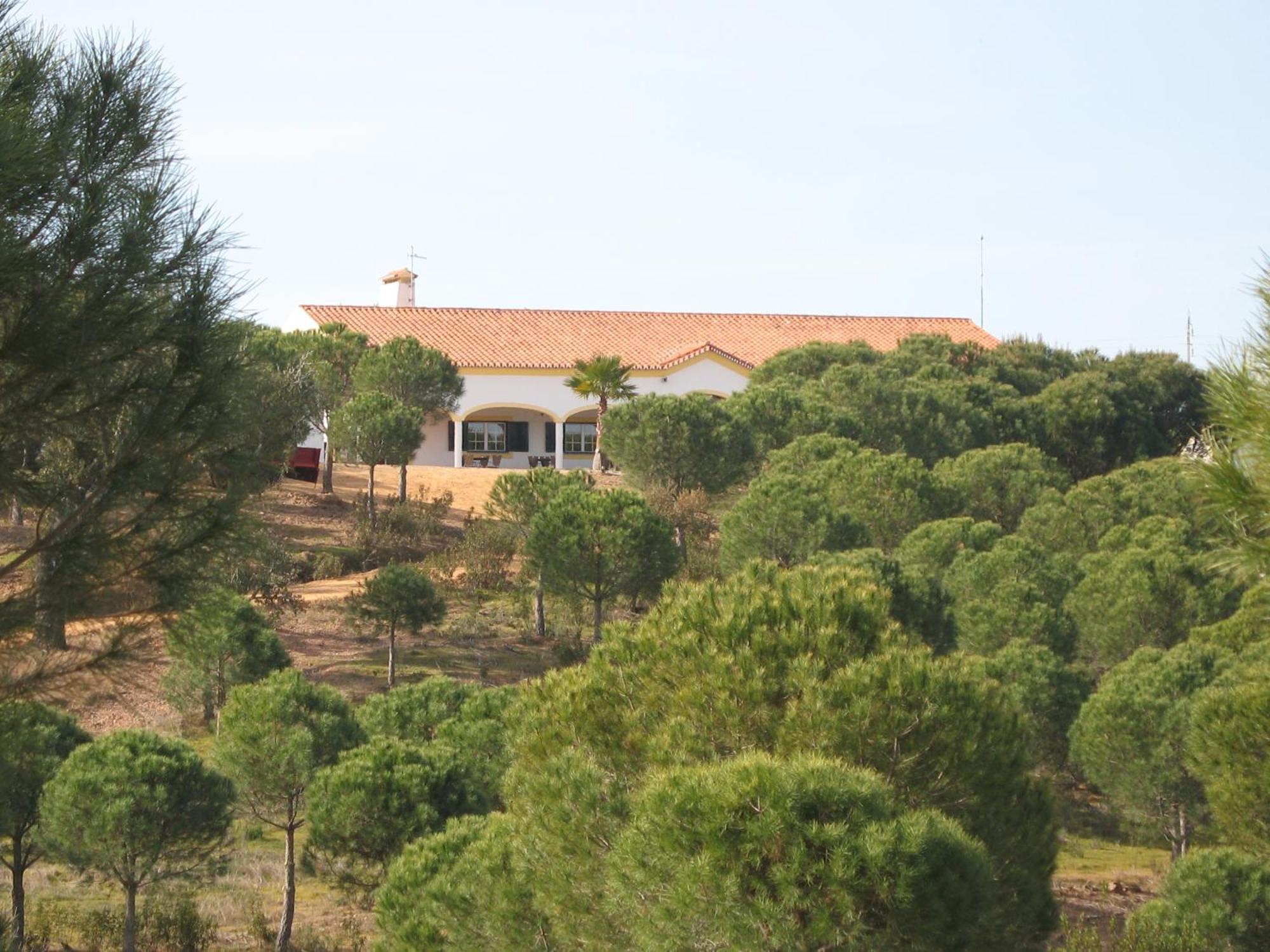 Herdade Do Rio Torto Portel Kültér fotó