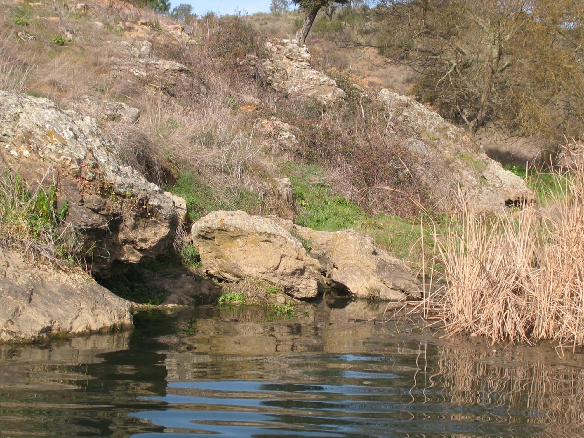 Herdade Do Rio Torto Portel Kültér fotó