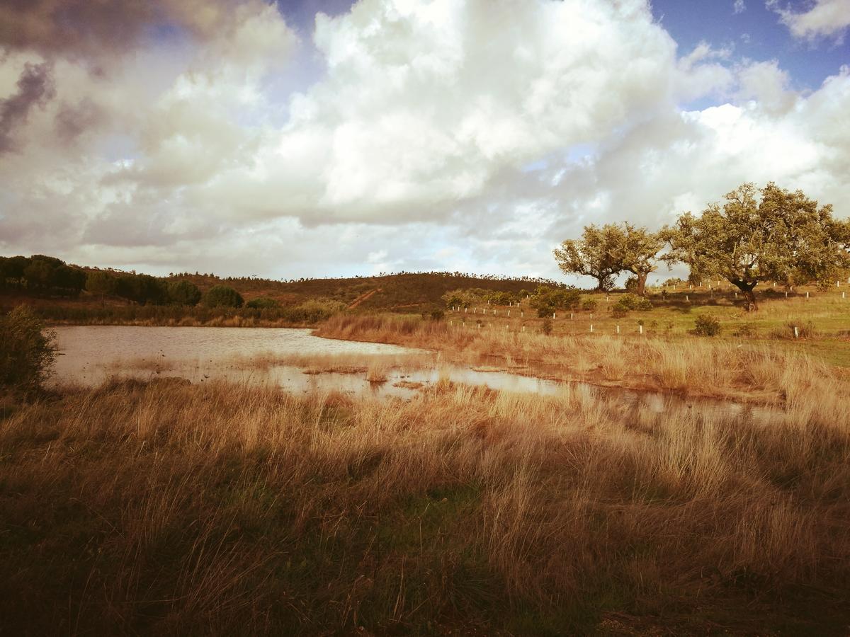 Herdade Do Rio Torto Portel Kültér fotó