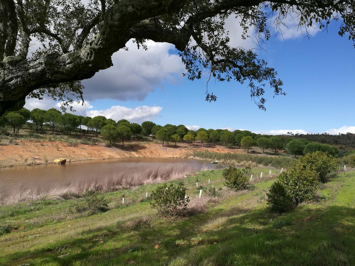 Herdade Do Rio Torto Portel Kültér fotó